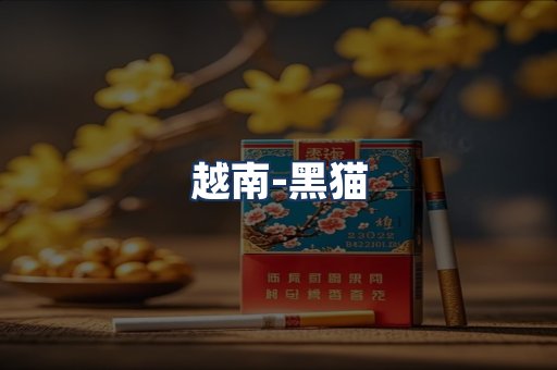 越南黑猫